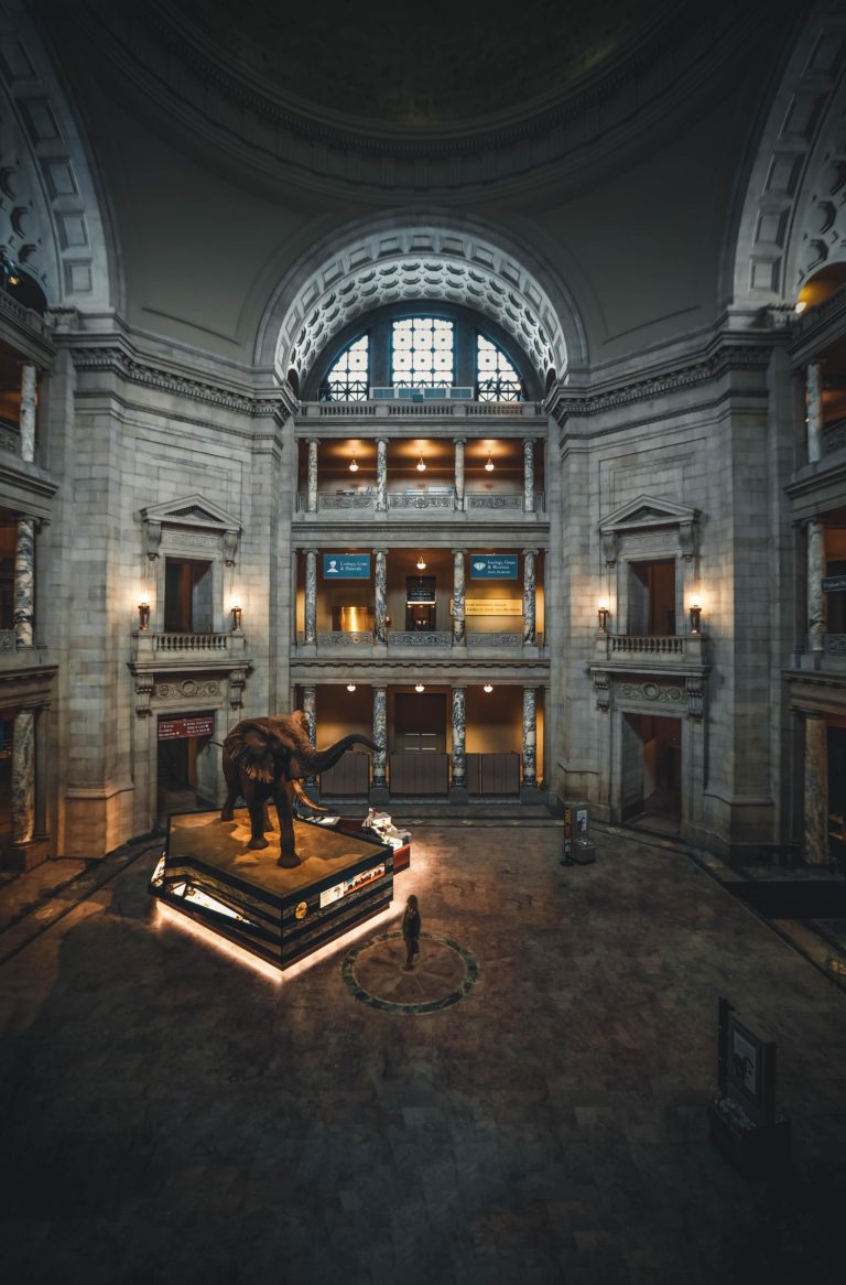 The elephant in the room at the WHO Executive Board