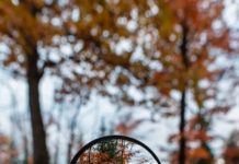 Affordability, binding commitments to technology sharing, and transparency key in Pathogen Access and Benefit Sharing