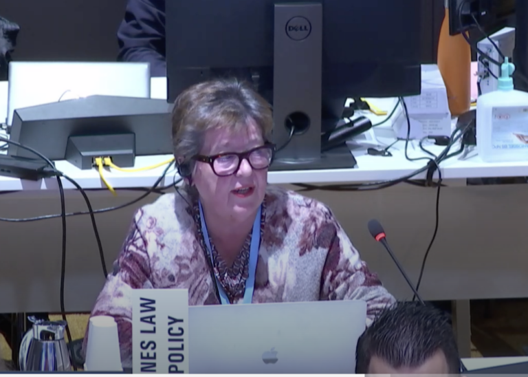 The world needs a signal that multilateralism works: ML&P opening statement to the INB13, 17 February 2025