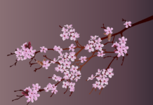 The Pandemic Agreement is here Cherry blossom