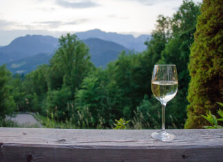 Transfer of technology and know-how for the production of pandemic-related health products in the WHO Pandemic Agreement: The proverbial half glass wine glass half full