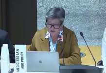 The IGWG process offers an opportunity to fulfil the equity objectives of the Pandemic Agreement